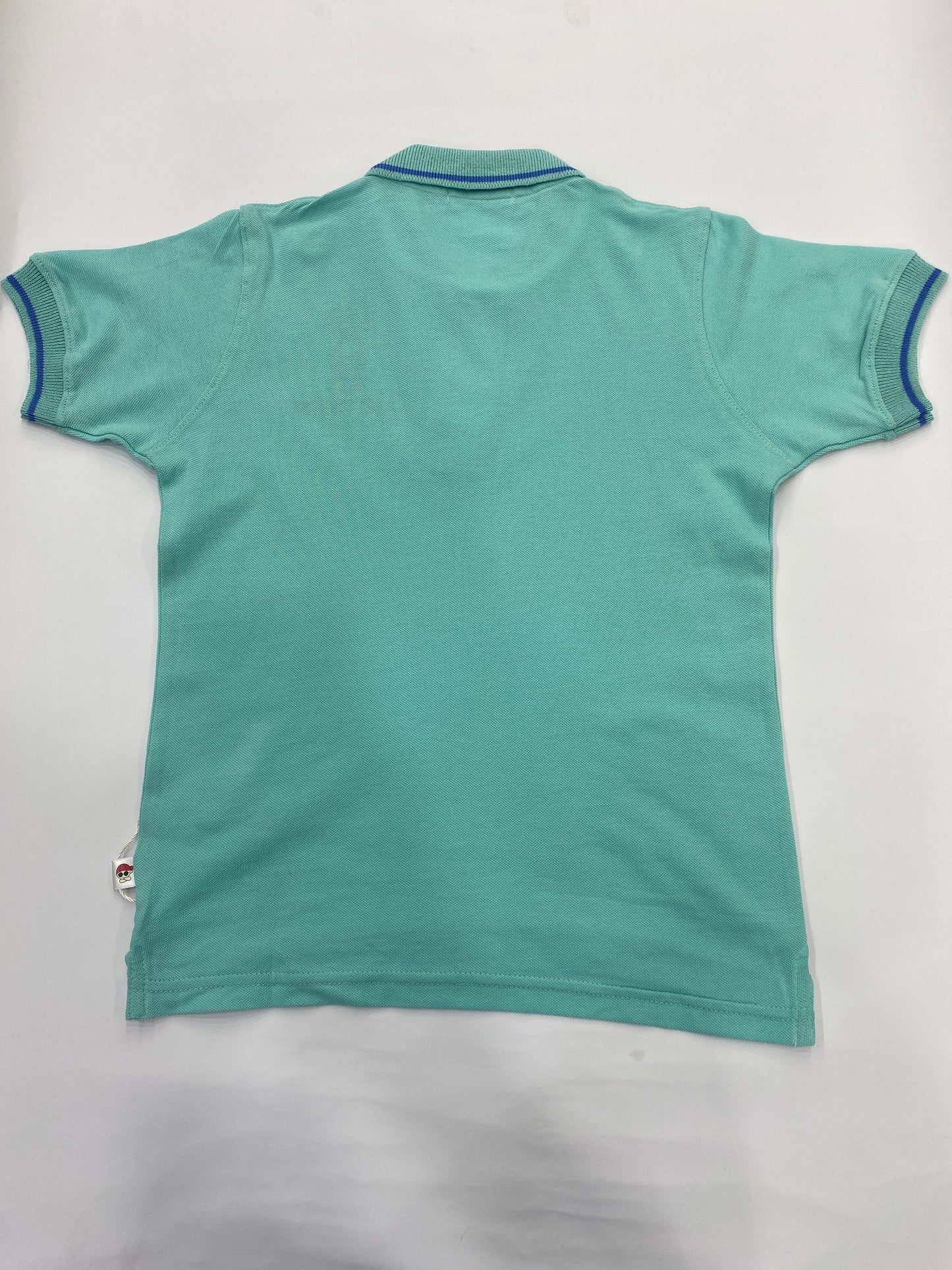 Boys Regular Fit Polo