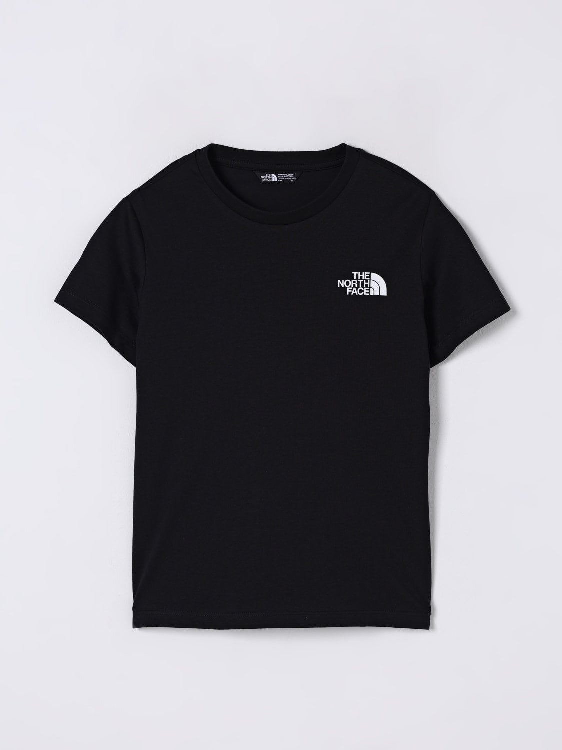 The North Face Graphic T-shirt