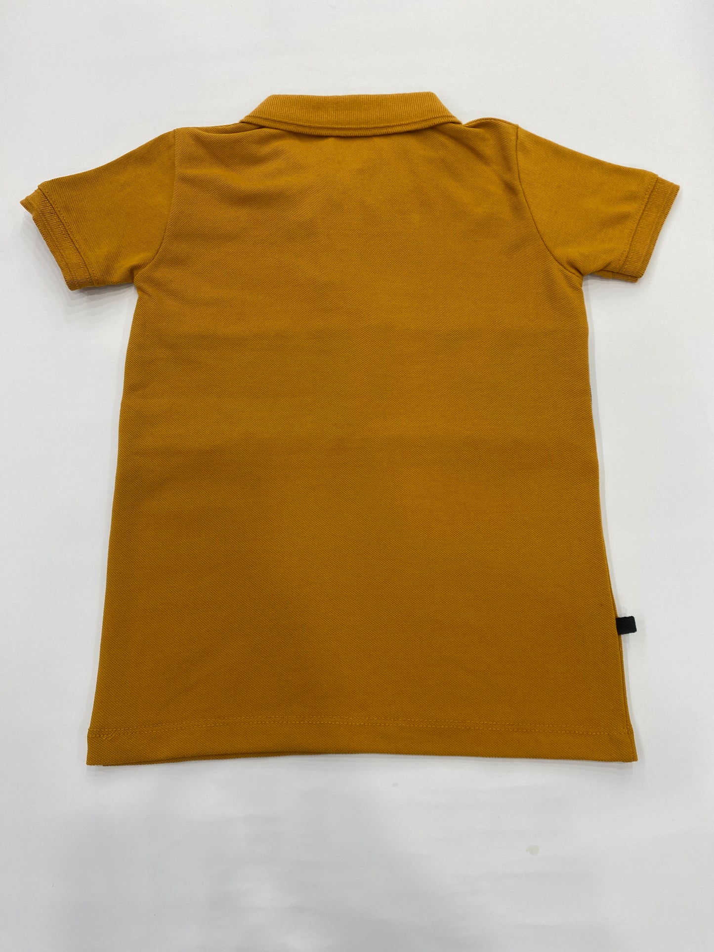 Boys Regular Fit Polo