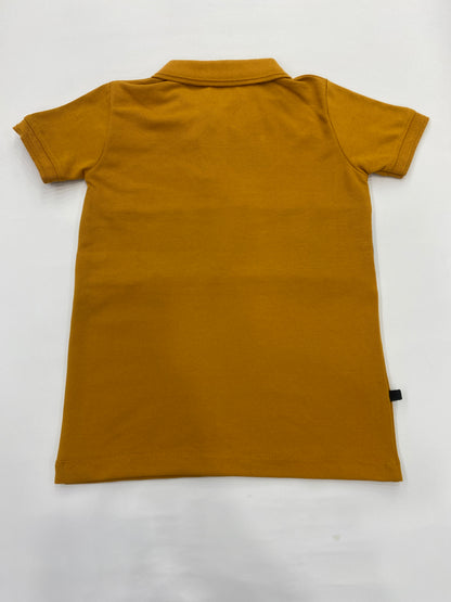 Boys Regular Fit Polo